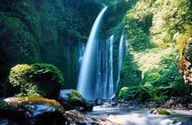 Best Sendang Gile and Tiu Kelep Waterfalls Tour