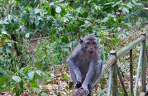 Best Sendang Gile and Tiu Kelep Waterfalls Tour