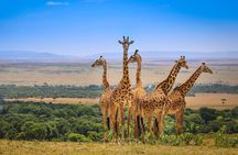 2-Day Tsavo East NP Joining Safari
