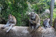 Hire Bali Driver for 10-hour (Bali as You Please)