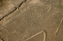 Flight over the Nazca Lines from Nazca (35 min)
