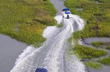 90-Minute Dolphin and Nature Tour of Hilton Head