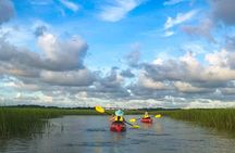 2-Hour Hilton Head Guided Kayak Nature Tour