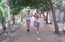 4 nights on 5 stars cruise luxor&Aswan tours&hot air balloon from Cairo by plane
