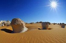 White Desert and Bahariya Oasis Tour From Cairo