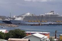 Best of St. Kitts Highlight Tour.