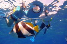 Maui Snorkeling Boat Tour to Turtle Town Aboard Quicksilver 