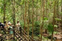 K'gari (Fraser Island) Explorer 2-Day Tour