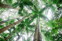 K'gari (Fraser Island) Explorer 2-Day Tour
