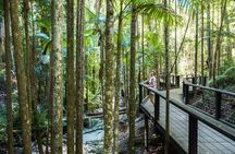K'gari (Fraser Island) All Inclusive Day Tour