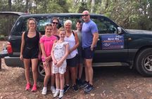 Byron Bay Hinterland Tour Including Rainforest Walk to Minyon Falls