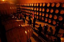 Cheese and Wine Route with 2 Towns, starting from Querétaro