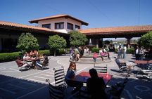 Cheese and Wine Route with 2 Towns, starting from Querétaro