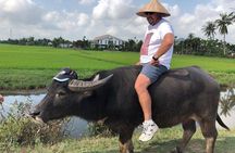 Hoi An Countryside - Buffalo Riding - Basket Boat Rowing