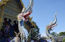 Exclusive Chiangrai White Temple, blue temple, black house. 