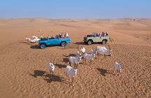 Authentic Safari in Vintage Land Rover with Traditional Dinner