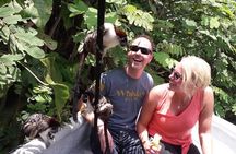 Monkeys Discovery