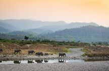 2N Jim Corbett National Park (Dhikala Zone)