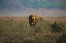 2N Jim Corbett National Park (Dhikala Zone)