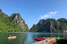 Discover Halong Bay - Titop Island - Surprise Cave 1 Day with Lunch From Hanoi
