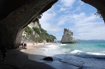 Private Tour - Coromandel Beach, Caves & Forest