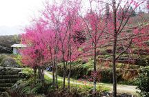 Sapa 2D1N Trekking to Giang Ta Chai Village from Hanoi by Bus