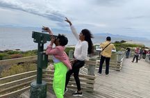 Private Full Day Tour To Cape Point, Penguins With Table Mountain.