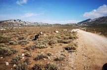 Off-road tour in the Supramonte and visit to Pischina Gurthàddala