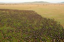 3 days 2 night Maasai Mara safari from Mombasa