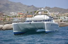 Whale Watching Catamaran Cruise with Transfer, Buffet by MC
