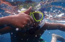 Whale Watching Catamaran Cruise with Transfer, Buffet by MC