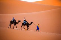 2 Days from Marrakech to Merzouga