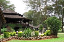 4 Days Amboseli, Tsavo, West and East Safari in Kenya
