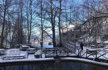 Dajti National Park by Cable Car