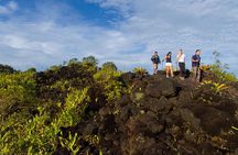 Arenal Volcano Hike Expedition with Optional Hot Springs