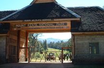 Day Tour To Mt. Kenya 