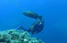 Scuba Experience