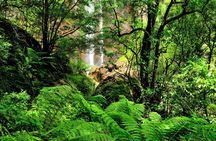 Private Tour - Juan Curí Waterfalls (Nature)