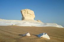 2 Day Trip to Bahariya Oasis with White Desert
