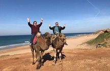Tangier Private Day Trip from Casablanca by High Speed Train