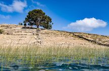 Tour to Anapia Island from Puno 2 Days 1 Night