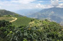 Do it yourself 11 days tour in Colombia (customizable)