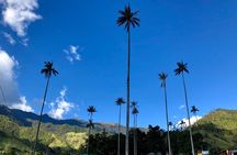 Do it yourself 11 days tour in Colombia (customizable)