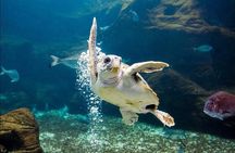 Heraklion City Tour-Market-Creta Aquarium