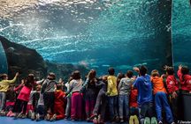 Heraklion City Tour-Market-Creta Aquarium