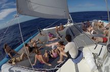 Sosua Catamaran Excursion