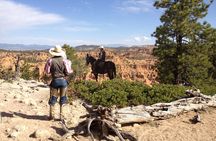 Horseback Riding Experience through Red Canyon with a Guide