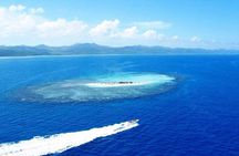 VIP tour to Paradise Island & The Mangroves