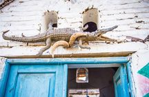 Nubian Village by Felucca