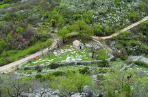 Discover Konavle Valley with Authentic Local Lunch